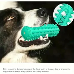 DOWNYPAWS - Brosse à Dents Durable Pour Chien - Jouet à Mâcher Et Soin Dentaire