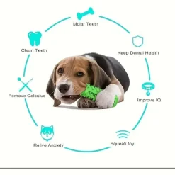 DOWNYPAWS - Brosse à Dents Durable Pour Chien - Jouet à Mâcher Et Soin Dentaire