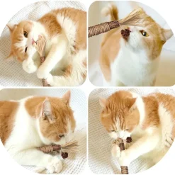DOWNYPAWS - Bâtonnets herbe à chat 6 pièces 22cm-bâton de dentition pour chat-bon pour la santé dentaire