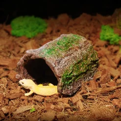 DOWNYPAWS - Cachette en résine pour reptiles