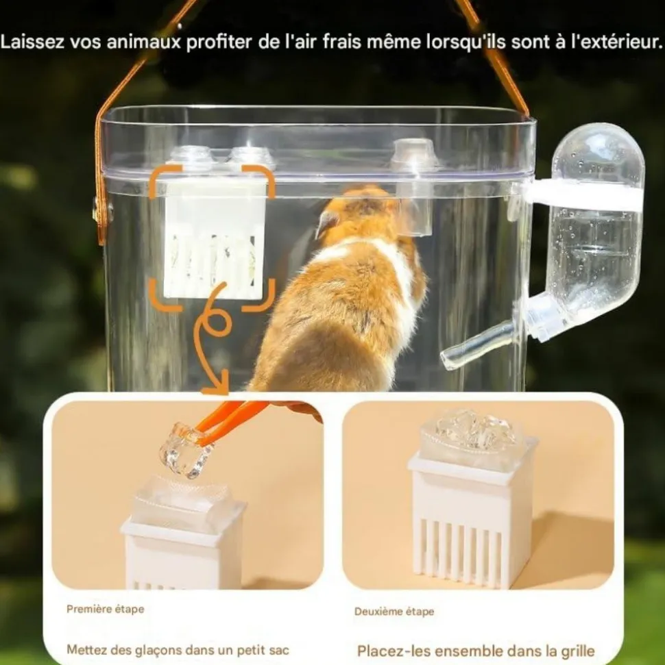 DOWNYPAWS - Cage de transport - portable avec bouteille d'eau transparente