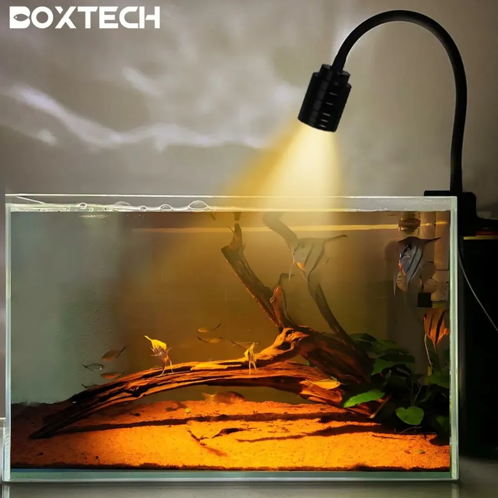 DOWNYPAWS - Éclairage led boxtech 3w réglable - nano aquariums