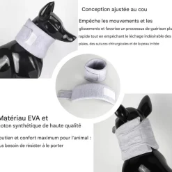 DOWNYPAWS - Collerette pour chat et chien