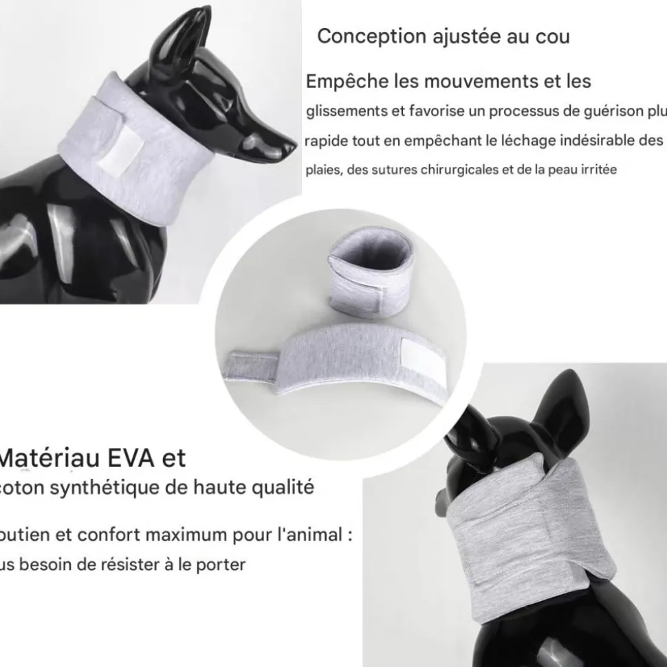 DOWNYPAWS - Collerette pour chat et chien