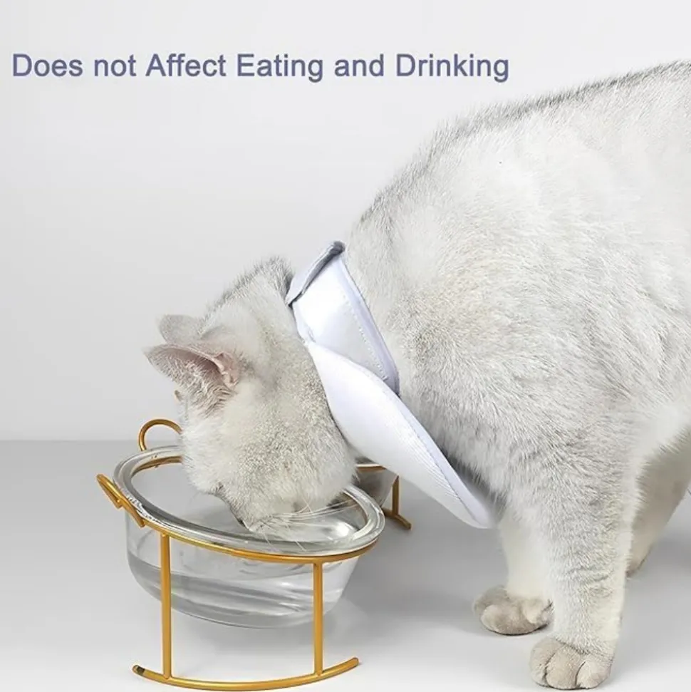 DOWNYPAWS - Collier de convalescence pour chat