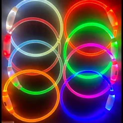DOWNYPAWS - Collier lumineux rechargeable pour chien taille m rouge : 50 cm de circonférence