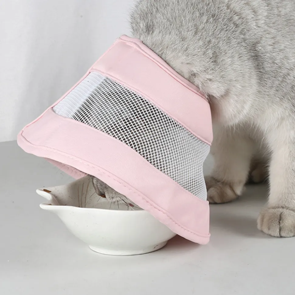 DOWNYPAWS - Collier pour chat sakura rose