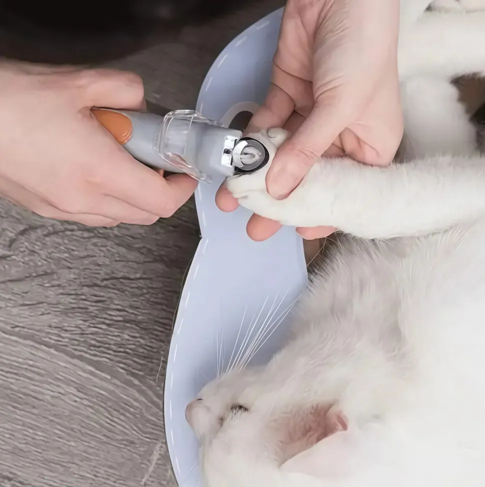 DOWNYPAWS - Coupe - griffes professionnel avec lumière led pour chiens et chats