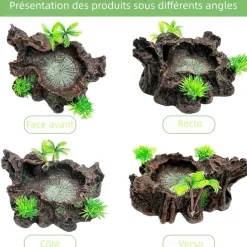 DOWNYPAWS - Décoration d'aquarium pour reptiles