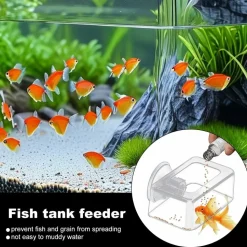 DOWNYPAWS - Distributeur de nourriture automatique pour aquarium