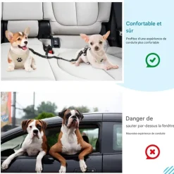 DOWNYPAWS - Double 2 chiensceintures de sécurité