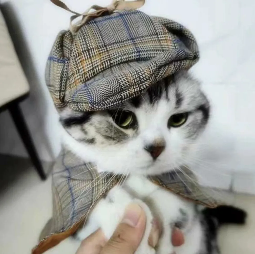 DOWNYPAWS - Ensemble de costumes de détective pour animaux de compagnie