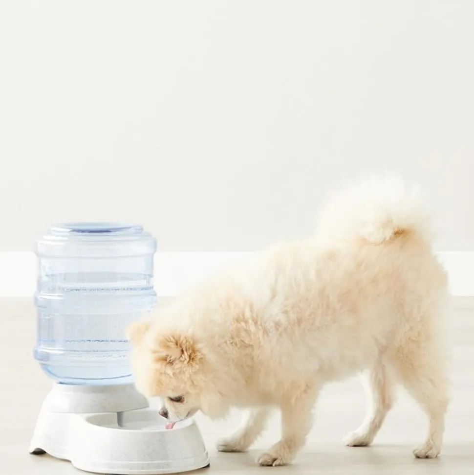 DOWNYPAWS - Fontaine à eau automatique pour chiens et chats-gris 32*18*30cm