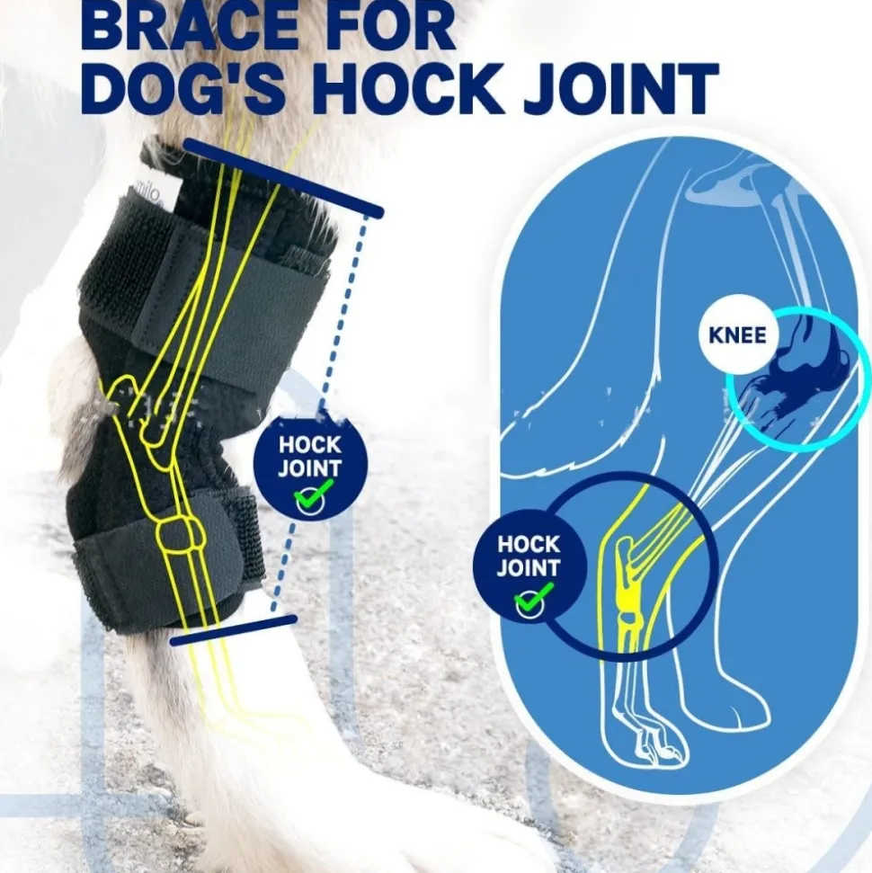 DOWNYPAWS - Gaine de protection pour pattes de chien après opération, support pour genoux taille m