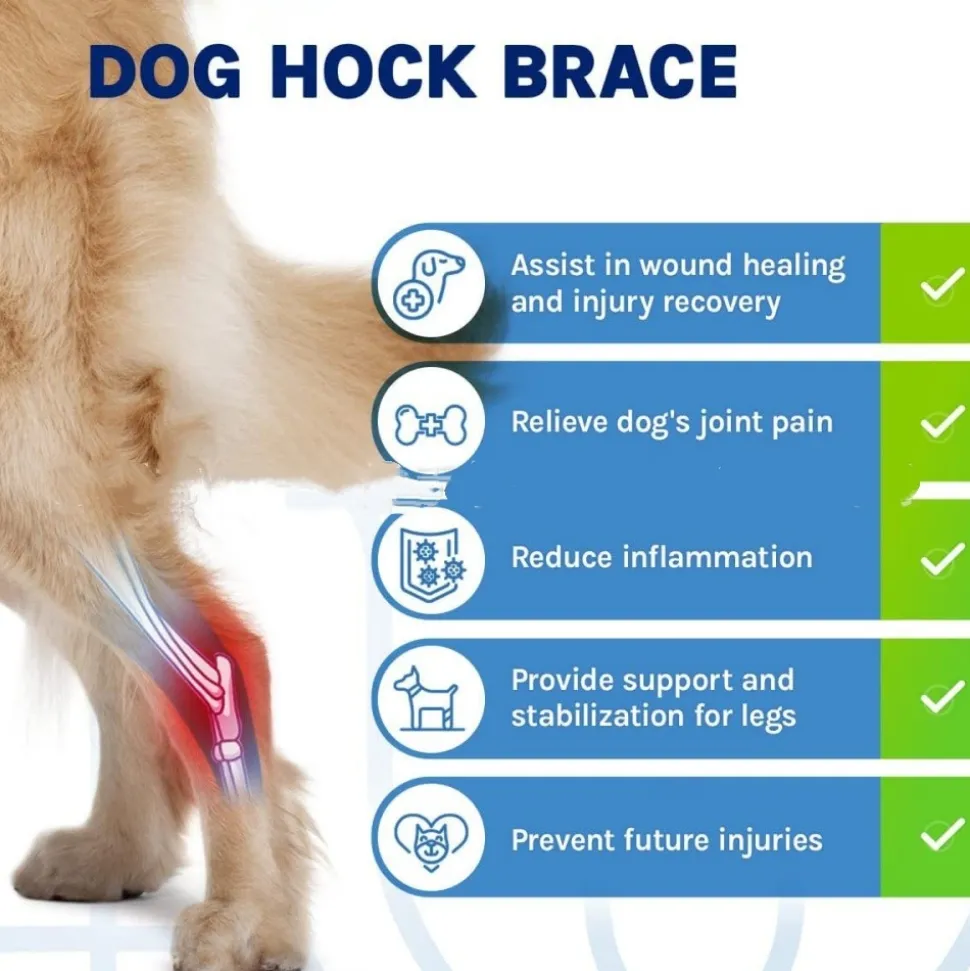 DOWNYPAWS - Gaine de protection pour pattes de chien après opération, support pour genoux taille m