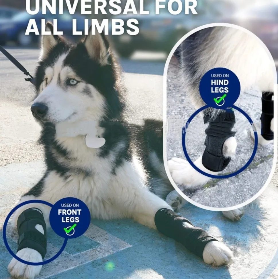 DOWNYPAWS - Gaine de protection pour pattes de chien après opération, support pour genoux taille m