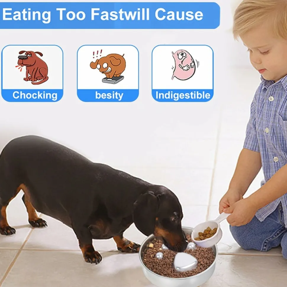 DOWNYPAWS - Gamelle anti-glouton pour chien - inox antidérapant