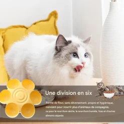 DOWNYPAWS - Gamelle en forme de fleur - 6 gamelles antidérapantes de qualité