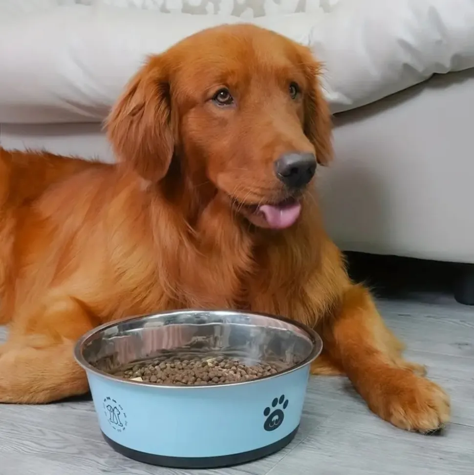 DOWNYPAWS - Gamelle pour chien