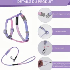 DOWNYPAWS - Harnachement et laisse pour chat m