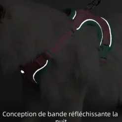 DOWNYPAWS - Harnais avec laisse pour chat l