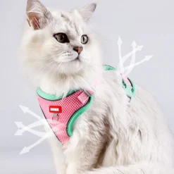 DOWNYPAWS - Harnais avec laisse pour chat xl