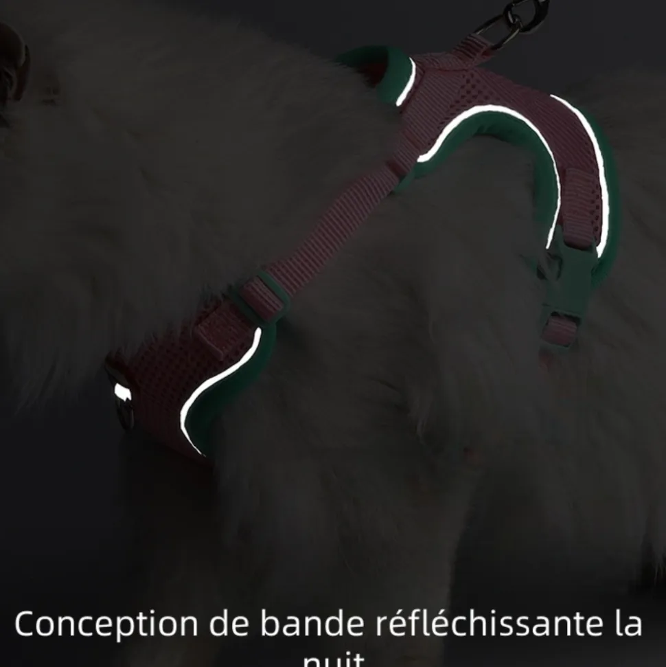 DOWNYPAWS - Harnais avec laisse pour chat xl