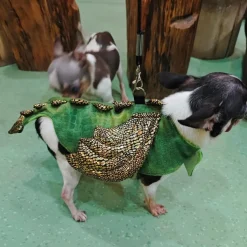 DOWNYPAWS - Harnais et laisse - costume de dinosaure, anti - fuite, halloween l