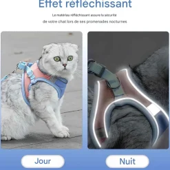DOWNYPAWS - Harnais pour chat avec laisse et doublure réfléchissante s
