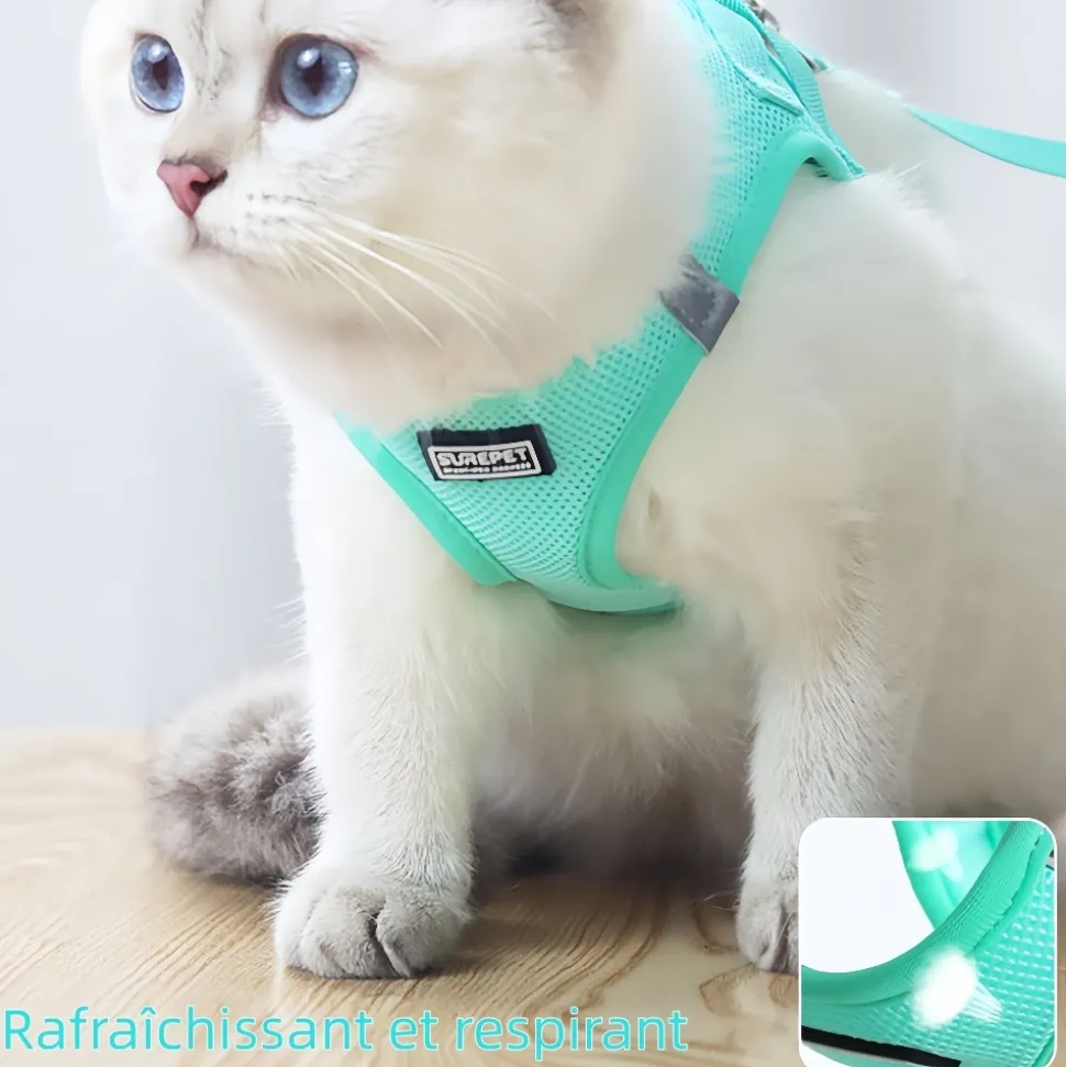 DOWNYPAWS - Harnais pour chats et chiens l