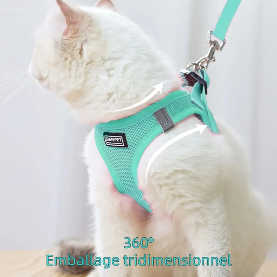 DOWNYPAWS - Harnais pour chats et chiens m