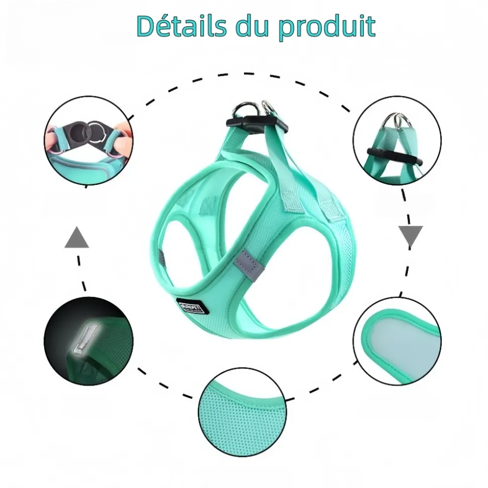DOWNYPAWS - Harnais pour chats et chiens m