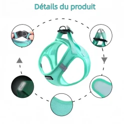 DOWNYPAWS - Harnais pour chats et chiens s