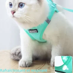 DOWNYPAWS - Harnais pour chats et chiens s