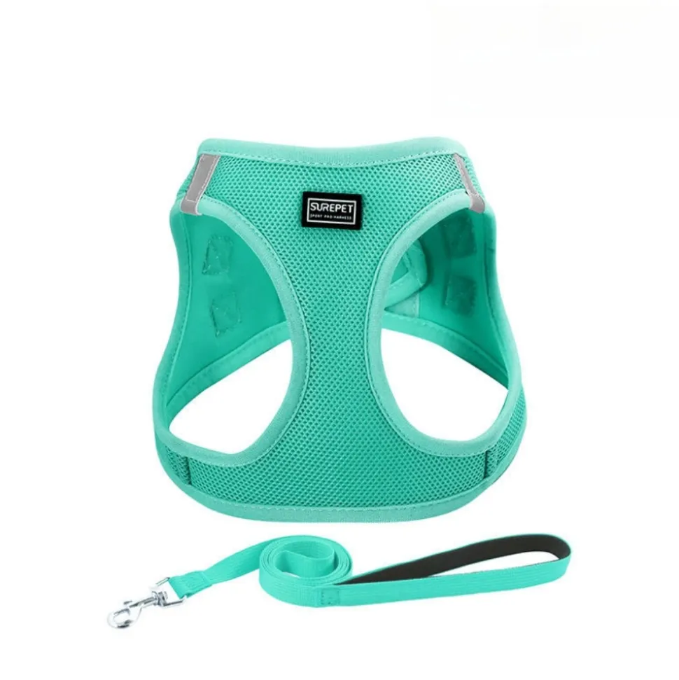 DOWNYPAWS - Harnais pour chats et chiens xs