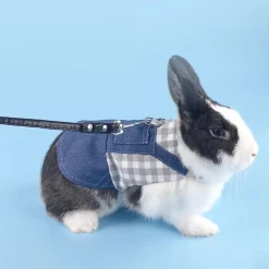 DOWNYPAWS - Harnais pour lapin et chat l