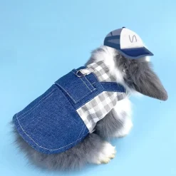 DOWNYPAWS - Harnais pour lapin et chat l