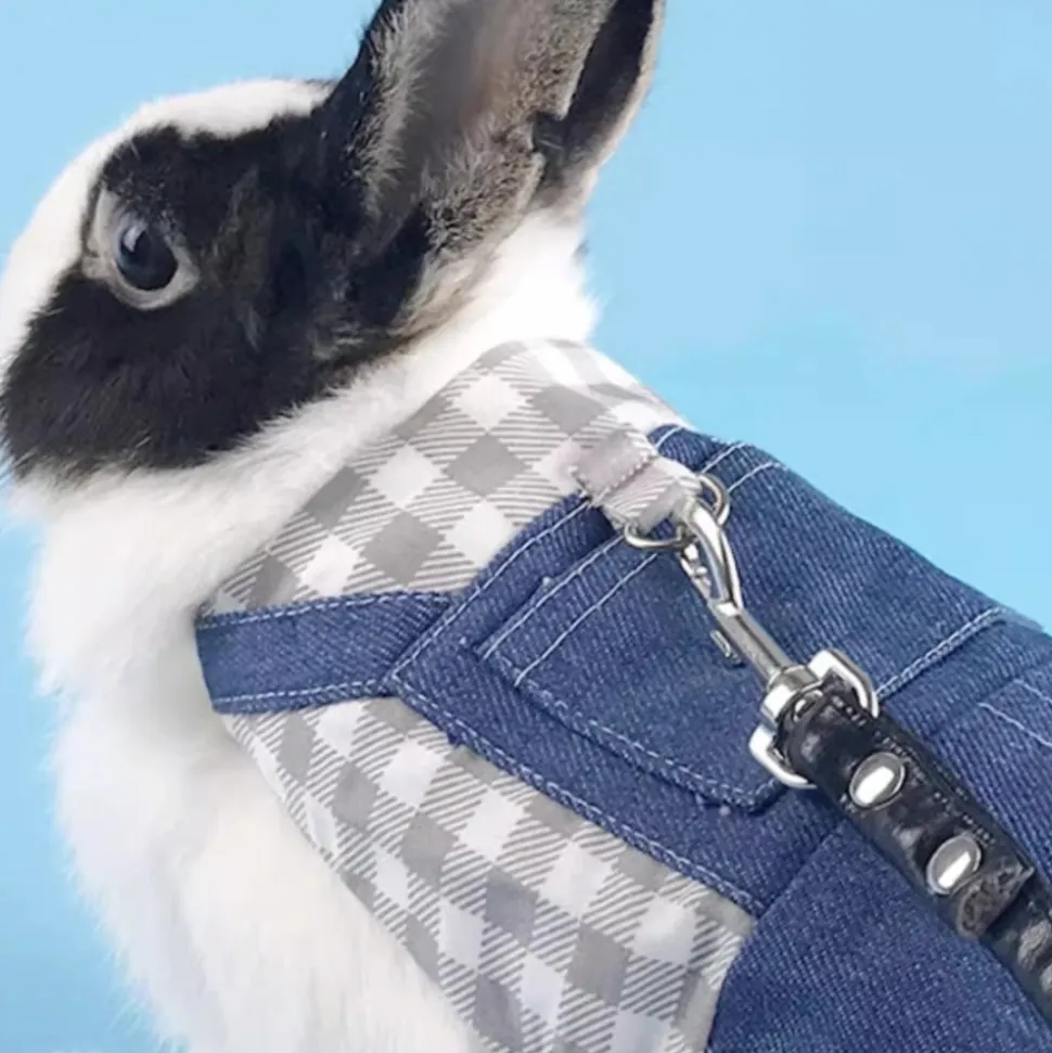 DOWNYPAWS - Harnais pour lapin et chat s