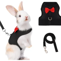 DOWNYPAWS - Harnais pour lapin m