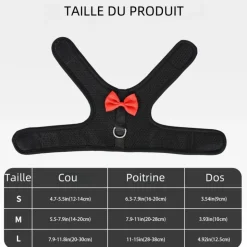 DOWNYPAWS - Harnais pour lapin m