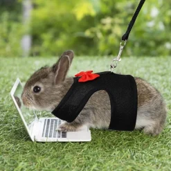 DOWNYPAWS - Harnais pour lapin s
