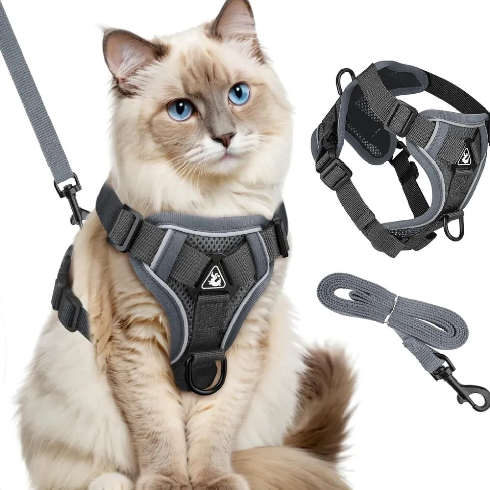 DOWNYPAWS - Harnais réfléchissant réglable pour chat - avec laisse m