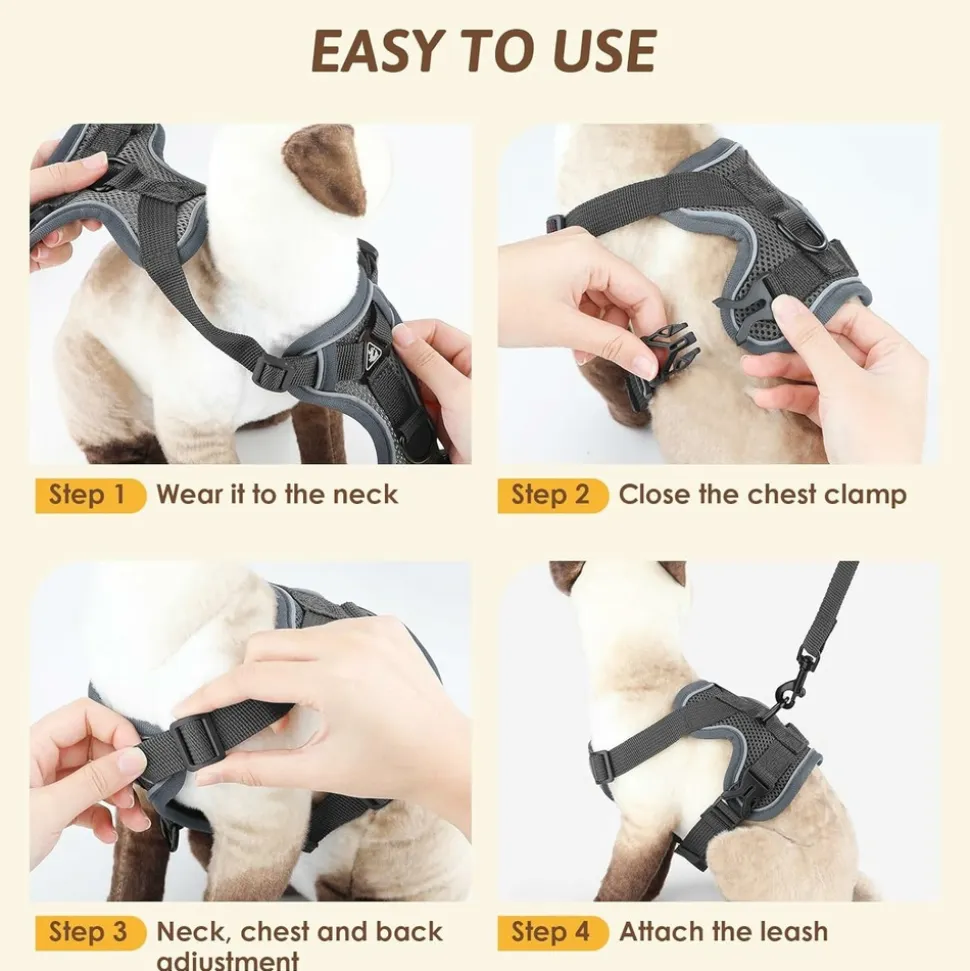 DOWNYPAWS - Harnais réfléchissant réglable pour chat - avec laisse xl