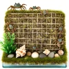 DOWNYPAWS - Jeu d'escalade pour hermit crab et escargot 4 pièces