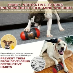 DOWNYPAWS - Jouet Interactif Distributeur De Friandises Pour Chien - Balle De Santé Dentaire Résistante