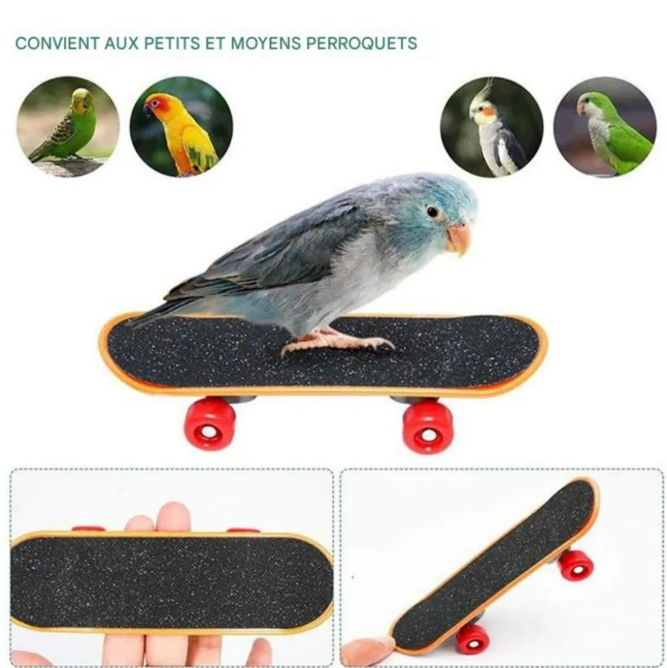 DOWNYPAWS - Jouet interactif pour perroquet