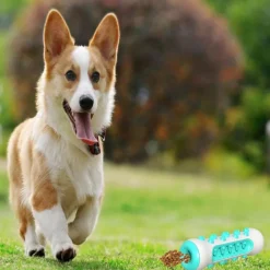 DOWNYPAWS - Jouet à mâcherbrosse pour chien
