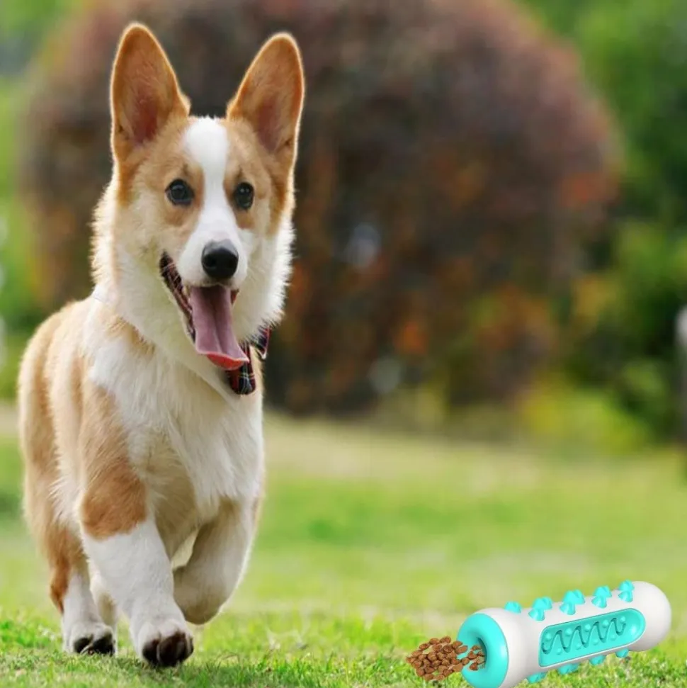 DOWNYPAWS - Jouet à mâcherbrosse pour chien