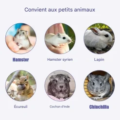 DOWNYPAWS - Jouet à mâcher - 9 pièces pierre minérale naturelle
