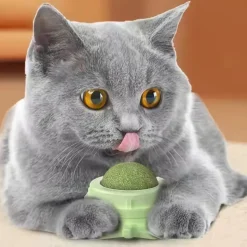 DOWNYPAWS - Jouet pour chat en boule d'herbe à chat : nettoyage des dents artefact à mâcher collable au mur